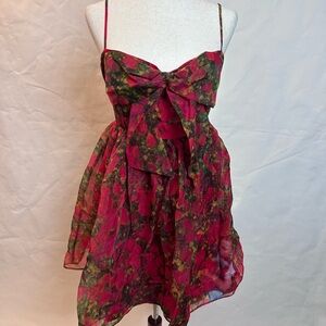 Dolls Kill Wizard of Oz Floral Red and Green Dress with Bow